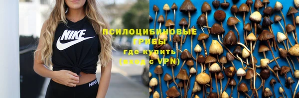 твердый Алексин